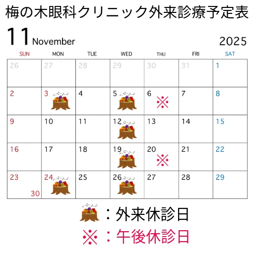 11月の外来診療日程のご案内