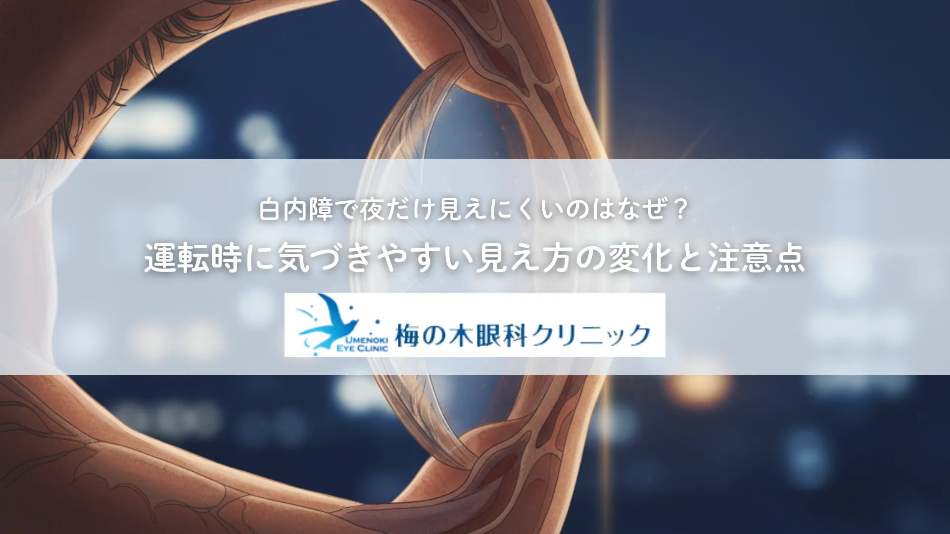 白内障で夜だけ見えにくいのはなぜ？運転時に気づきやすい見え方の変化と注意点